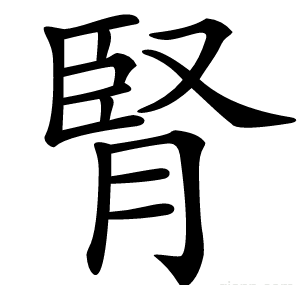腎